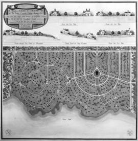 [Subdivision plan of Victoria suburb for B.C. Electric Railway Company
