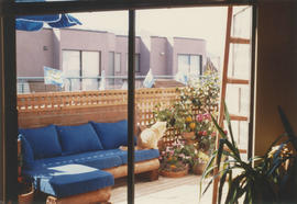 Cat on balcony at 766 W. 7th Avenue