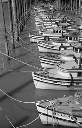 [A row of  fishing boats tied to pilings]