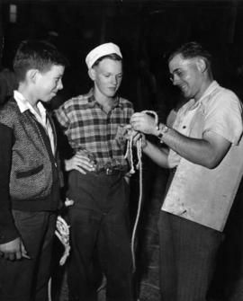 Arthur Maddocks - Richmond demonstrates halter making to two boys at P.N.E.