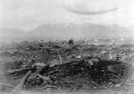 Vancouver Clearing [Cleared land in east Vancouver]