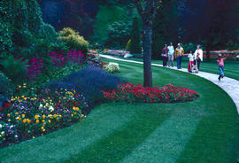 Gardens - Canada : Buchart Gardens, grass