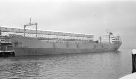 M.S. Carlton [at dock]