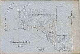 Topographical map of T.L.44990 (T.L.12890) - Nelson Island, New Westminster District, B.C.