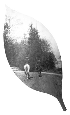 [Man and woman on horseback at Stanley Park trail]