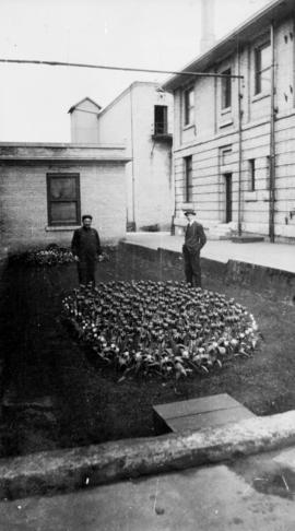 Two men in garden behind refinery with bed of tulips