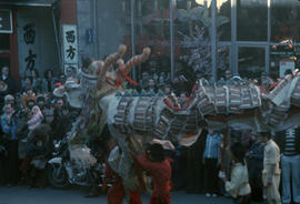 Lion dancers in the Chinese New Year parade on Pender Street