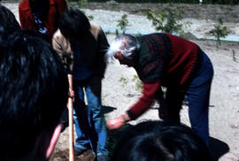 Events : arbor day, Harry demonstrating tree planting
