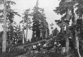 [Group on top of Grouse Mountain]