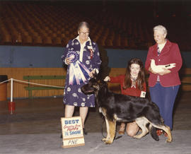 Best Canadian Bred Puppy in Show award being presented at 1975 P.N.E. All-Breed Dog Show [German ...