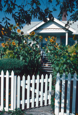 Gardens - Canada : sunflowers and cottage