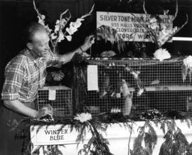 Nils Beautting, Silvertone Mink Ranch - Cloverdale, 1st in display class