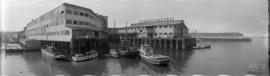 [Canadian Fishing Company, New England Fish Company and Grand Trunk Pacific buildings and docks]