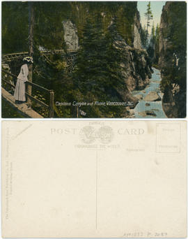 Capilano Canyon and flume, Vancouver, B.C.
