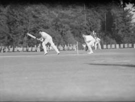 Cricket batter in a match
