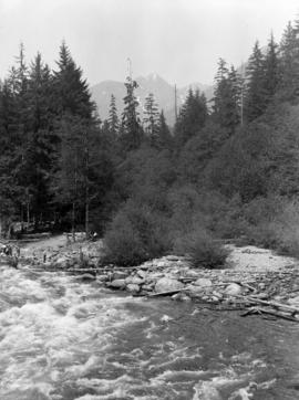 Crown Mountain from Japanese Bridge over Capilano Canyon