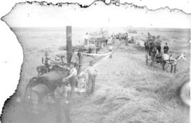 Threshing on the farm of J.R. Neff, Esq., Moosamin, Assa.