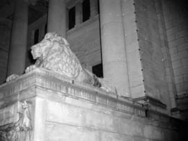 [Lion statue on the courthouse steps]