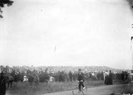 [Crowds gathered to watch events at Beacon Hill Park]