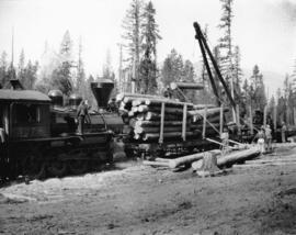 Loading operation in the woods - Canal Flats
