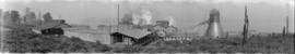 [View of Walsh Construction Company and Vancouver Lumber Company, Roche Point]