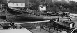 [The hulk of the S.S. "Britannia" on the south bank of the Fraser River near Ladner]