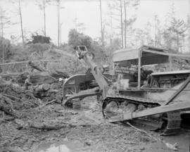 Pacific Mills on Queen Charlotte Islands : logging