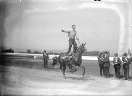 Police sports [stunt horse riding]