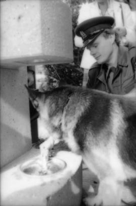 Constable Rob Bosley and police dog Sport at drinking fountain