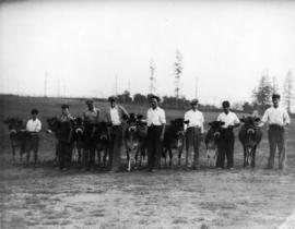 Line of young men with Jersey cattle