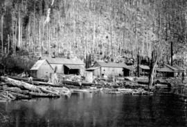 [Logging camp at Lake Coquitlam]