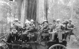 [A sightseeing car operated by Vancouver Transfer Company in front of the Hollow Tree]