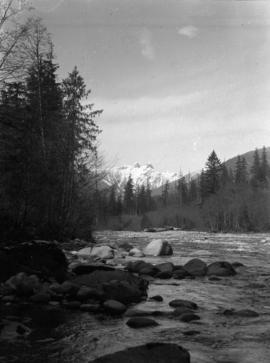[View of The Lions from the Capilano River]