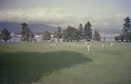 Cricket game