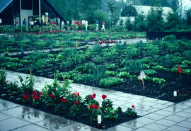 Garden exhibitions and flower shows : school garden, Floriade 82