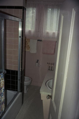 [975 Lagoon Drive - View of bathroom vanity and shower]