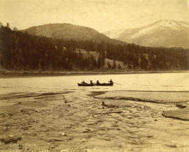 Deer park, Lower Arrow Lake