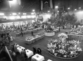 1954 P.N.E. Horticultural Show exhibits in Forum building