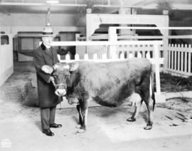 [Mayor L.D. Taylor with the "World's Champion Jersey" cow, possibly at the Canadian Pac...