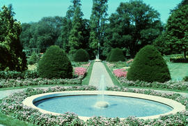 Gardens - United States : Conservatory, spring display, Longwood Gardens