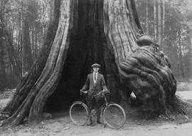 James Bennett Fyer (Ben) [standing with bicycle] by Hollow Tree in Stanley Park