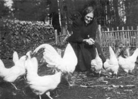 Adella Barwis Dorais feeding her hens when eggs were $1.20 per dozen.  At the log cabin