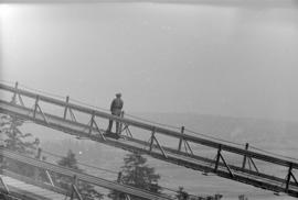 [Worker on catwalk of the Lions Gate Bridge under construction]