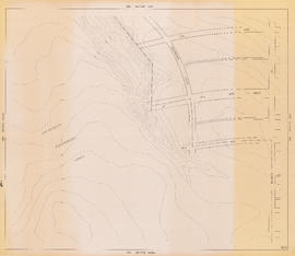 Sheet 43C [Blanca Street to 2nd Avenue to University Endowment Lands to 10th Avenue]
