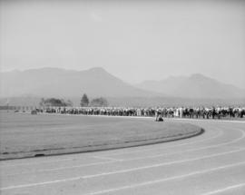 Canada Pacific Exhibition [Long row of cattle on the field ready for showing]