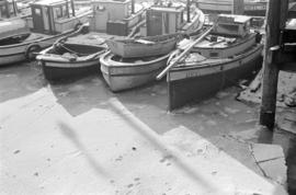 [Fish boats in ice at dock]