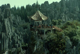 Habitat : Stone Forest Yunnan