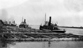 Tugboats on the Fraser [river], steam tugs belonging to a lost tugboat company called Blue Band T...