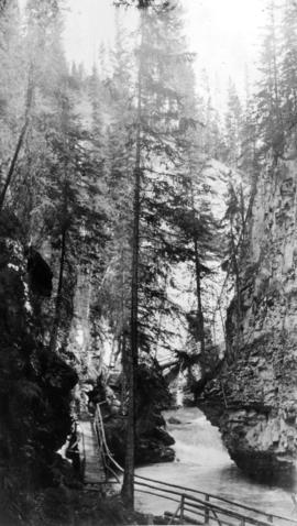 The trail through the [Johnston] canyon