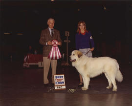 Best Canadian Bred in Show award being presented at 1974 P.N.E. All-Breed Dog Show [Great Pyrenees]